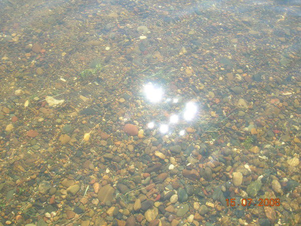 Ирина Антонова