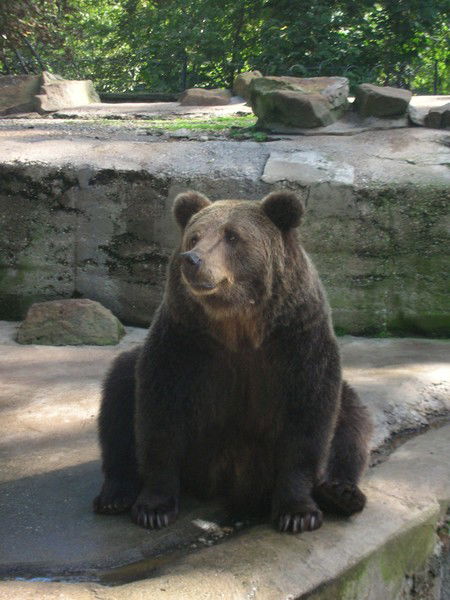 Леонид Кошелев