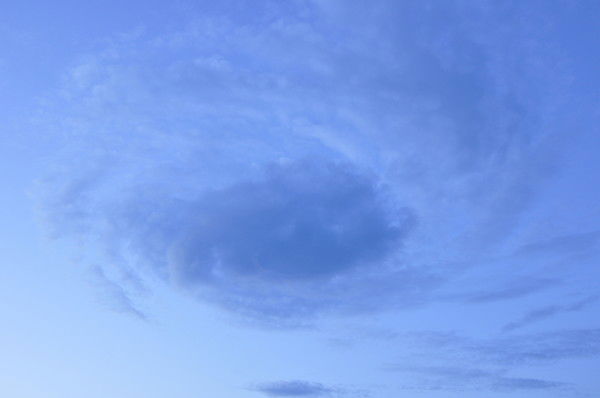 Светлана ***