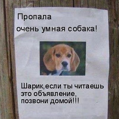 Антон Пасичник