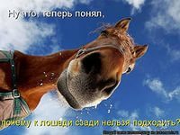 Николай Рязанов