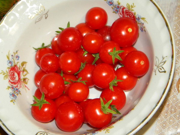 Ирина Ветрова