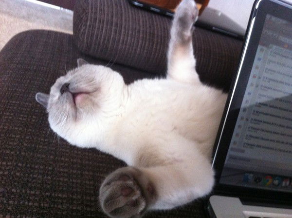 Валерий Валерий