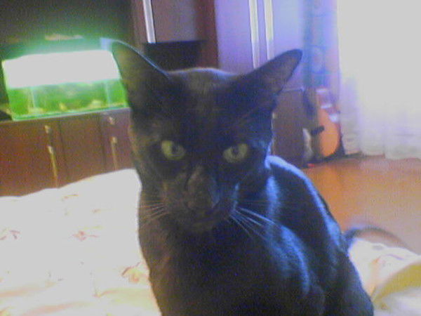 Сергей Симоненко