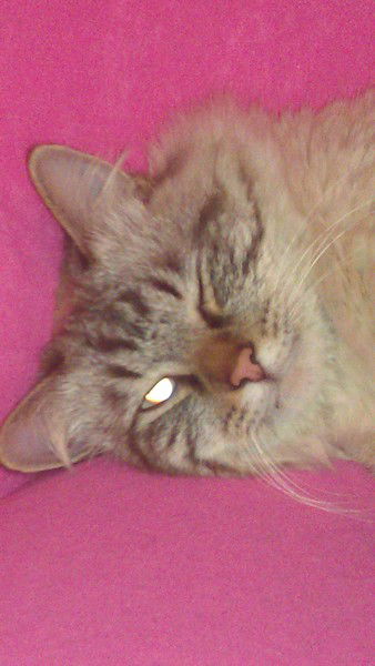 Елена Федорова