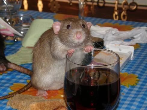 Ирина Терновая