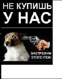 Рамиль Жамалетдинов