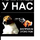 Рамиль Жамалетдинов