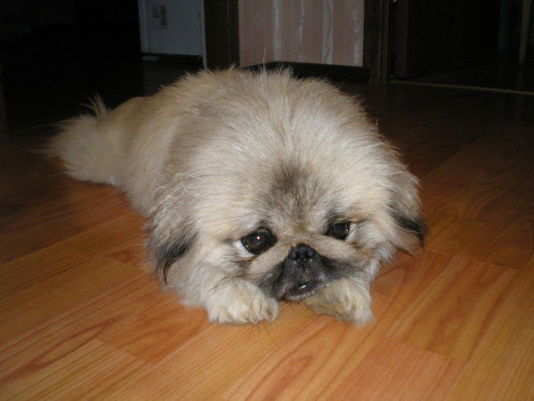 Надежда Малютина