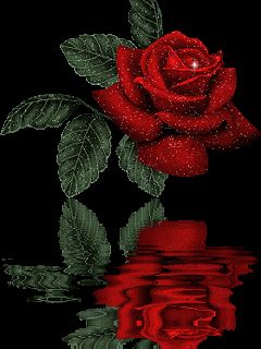 Фурша Абрамович