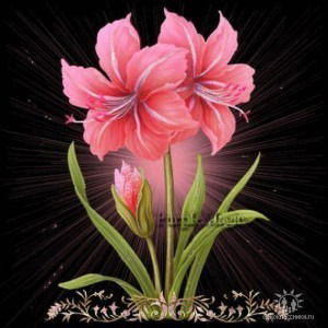 Марина Обутова