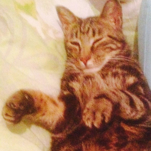 Евгений Лысенко