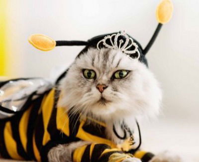 Ахрор Лисичкин