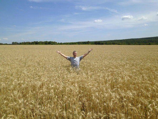 Владимир Иноземцев