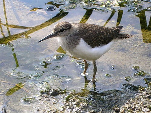 Татьяна Кулик