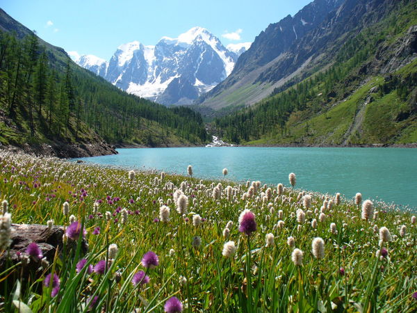 Александра Базунова