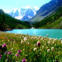 Александра Базунова