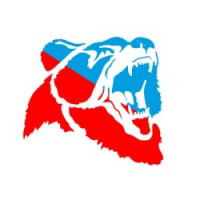 Дмитрий Высотин