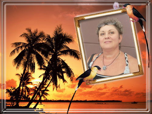 Елена Кучеренко