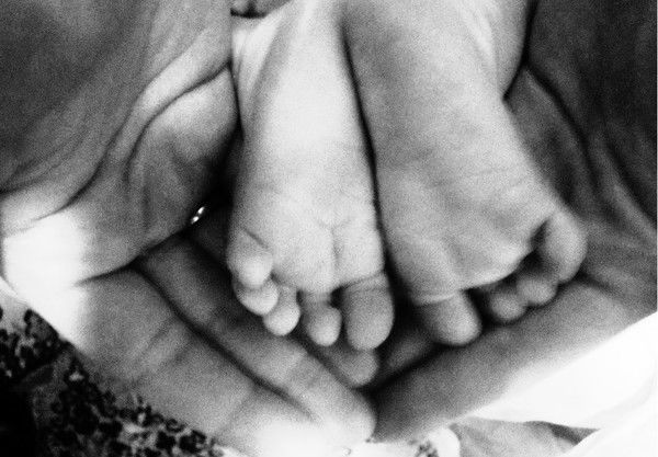 Елена Бондаренко