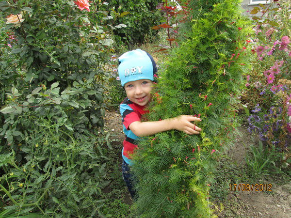 Виктория Малоштанова