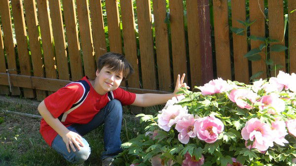 Стас Трухманов