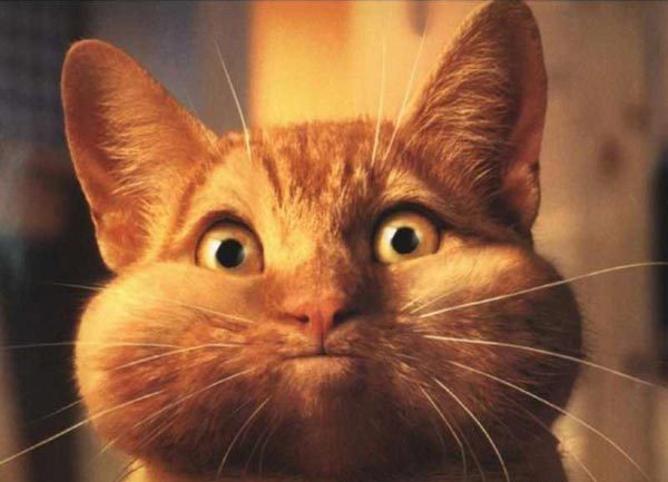 Андрей Cинолицкий