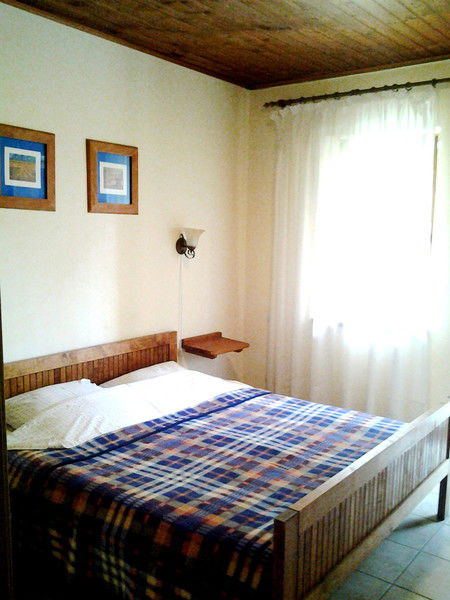 Елена Васильева