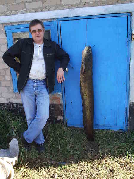 Юрий Алексеев