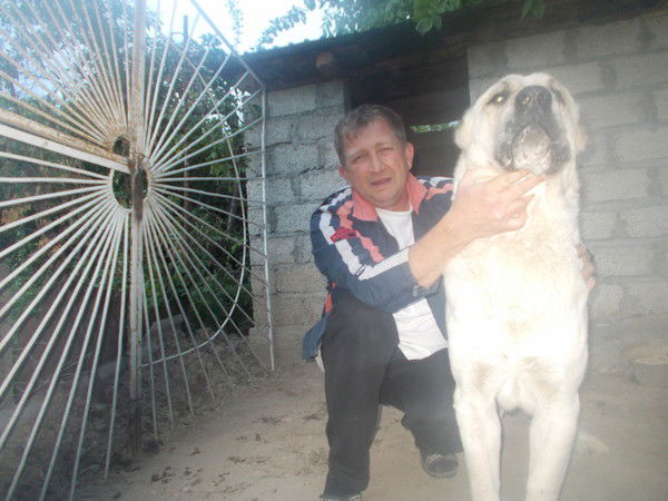 Булгаков Николай