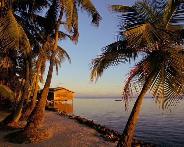 Денис Крупенников