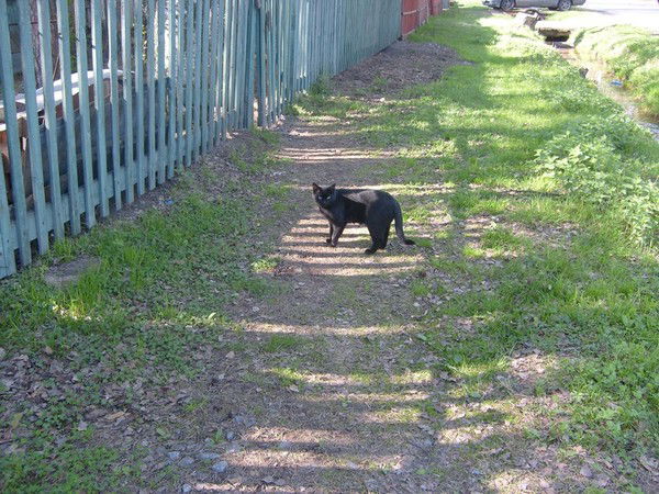 Лариса Мельник