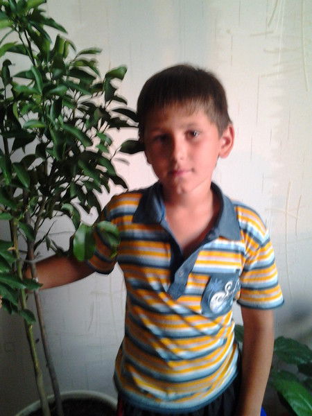 Денис Соколов