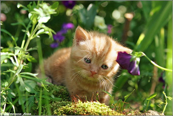 Маргарита Кондратьева