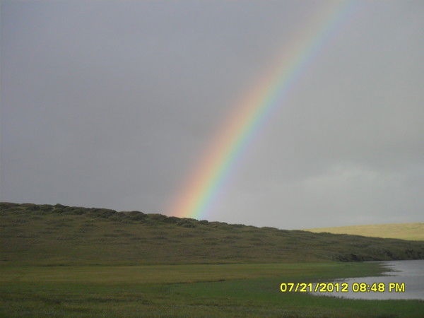 Диана Туприна