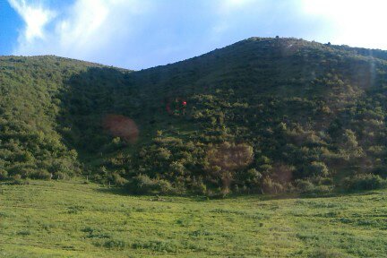 Баха Ташбаев