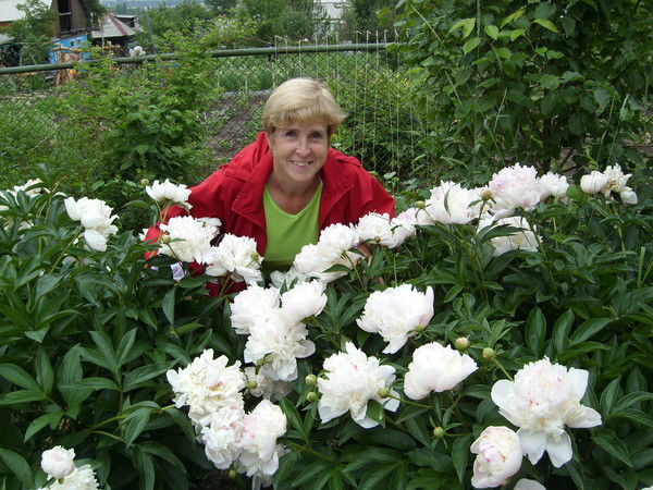 Светлана Миронова