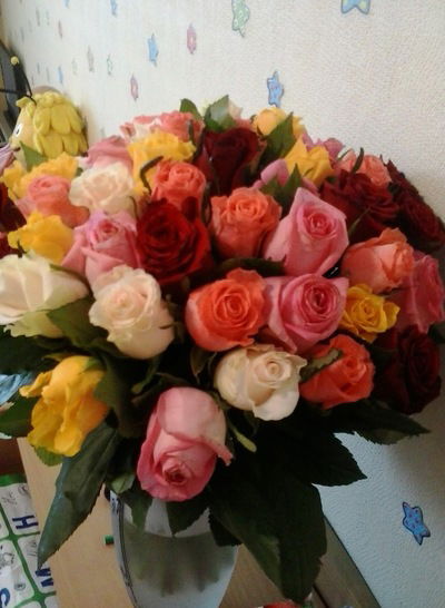 Ирина Родионова