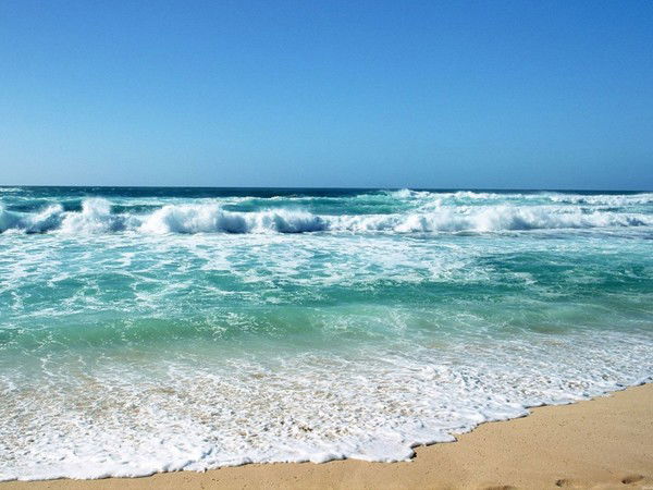 Арсентьева Тамара