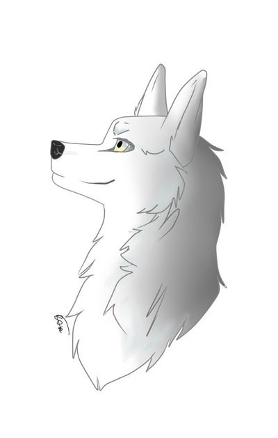 Лиза Бычкова