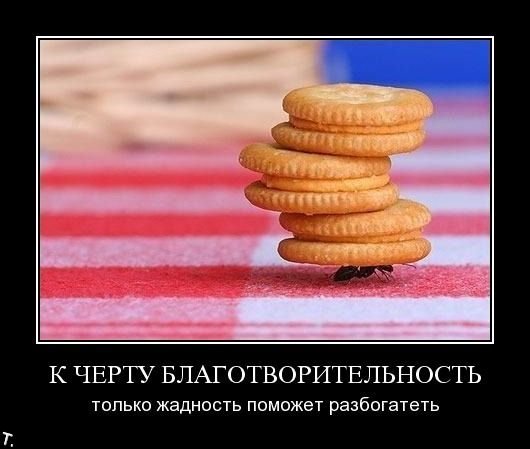 Михаил Стародубцев