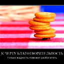 Михаил Стародубцев