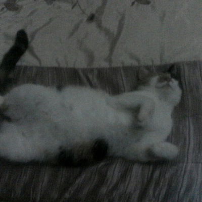 Валерия Софронова