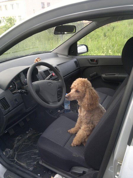 Вика Смирнова