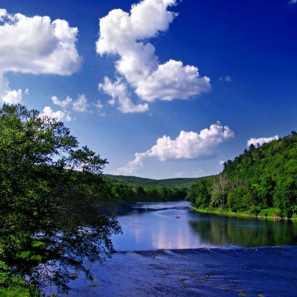 Ирина Сухорукова