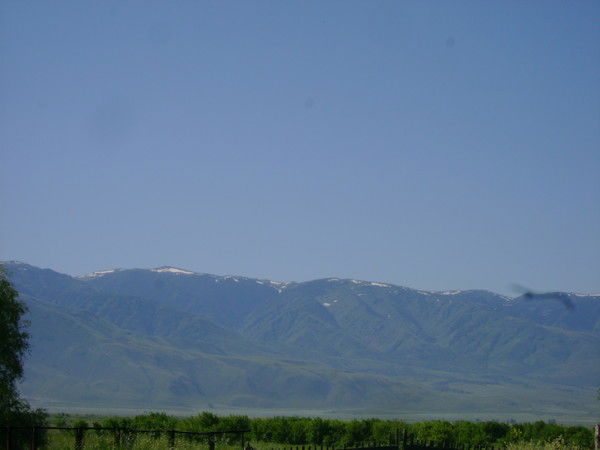 Гаухар Мысаева