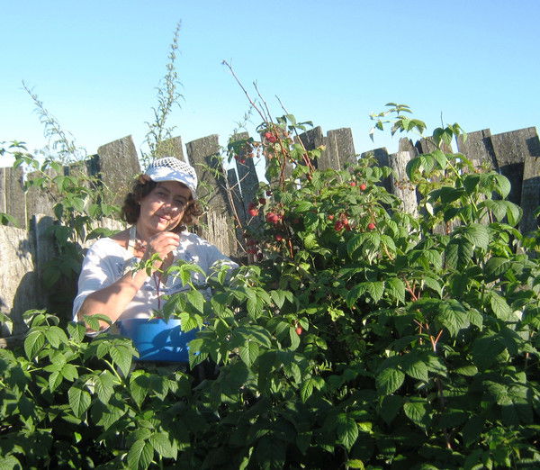 Валентина Бендер