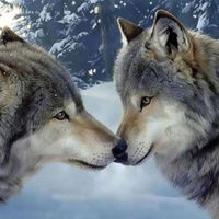 Екатерина Петрова