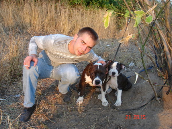 Владимир Меркулов