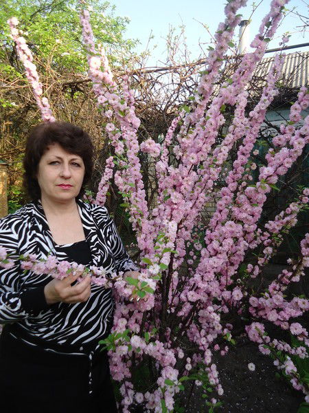 Елена Кузнецова